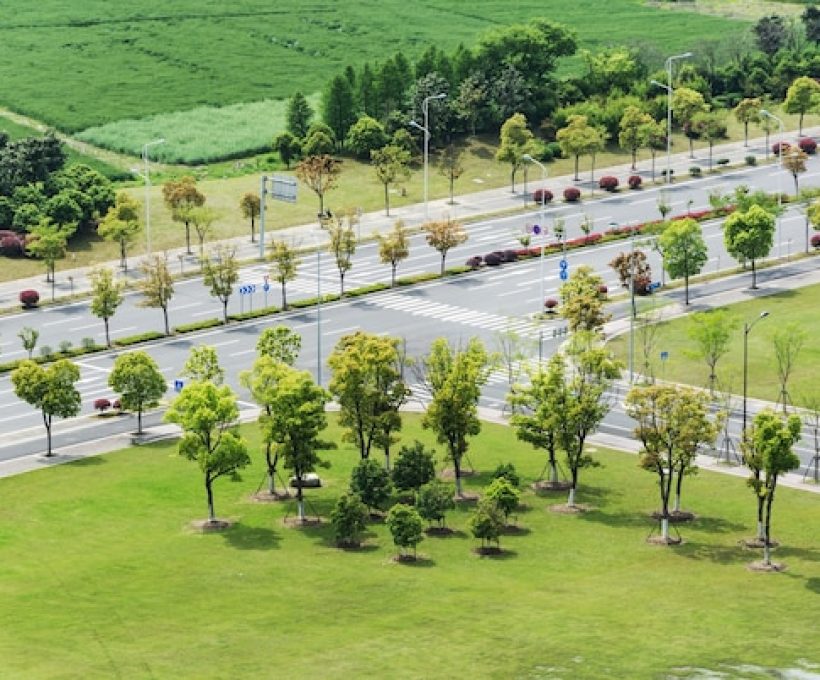 road-with-trees-around_1127-2249