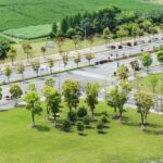 road-with-trees-around_1127-2249